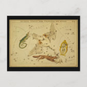 Lacerta, Cygnus, Lyra, Vulpecula und Anser Postkarte (Vorderseite)
