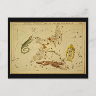 Lacerta, Cygnus, Lyra, Vulpecula und Anser Postkarte