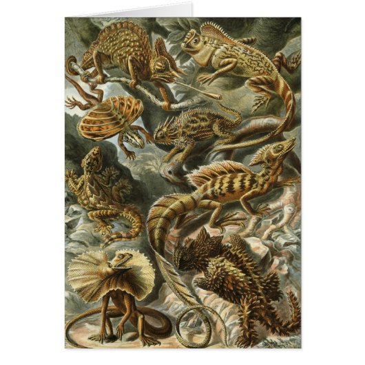 Lacertilia by Ernst Haeckel Vintage Lizard Animals (Vorne)