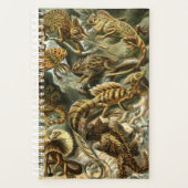 Lacertilia, Eidechsen von Ernst Haeckel Planner Planer (Vorderseite)
