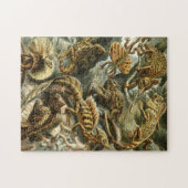 Lacertilia, lizards by Ernst Haeckel Jigsaw Puzzle (Horizontal)