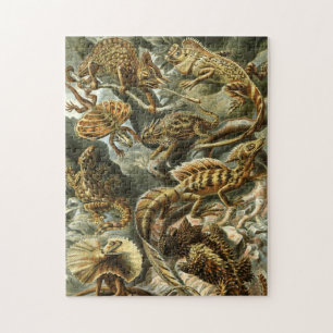 Lacertilia, lizards by Ernst Haeckel Jigsaw Puzzle