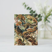 Lacertilia Lizards von Ernst Haeckel Feiertagspostkarte (Stehend Vorderseite)