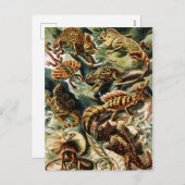 Lacertilia Lizards von Ernst Haeckel Feiertagspostkarte (Vorne/Hinten)