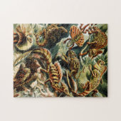 Lacertilia Lizards von Ernst Haeckel Puzzle (Horizontal)