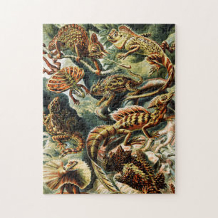 Lacertilia Lizards von Ernst Haeckel Puzzle