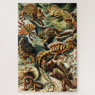 Lacertilia Lizens von Ernst Haeckel Puzzle