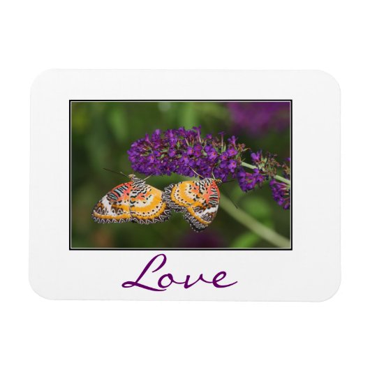 Lacewing Butterfly Duet Magnet (Horizontal)