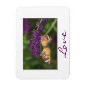 Lacewing Butterfly Duet Magnet (Vertikal)