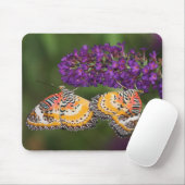 Lacewing Duet Mousepad (Mit Mouse)