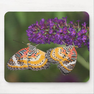 Lacewing Duet Mousepad