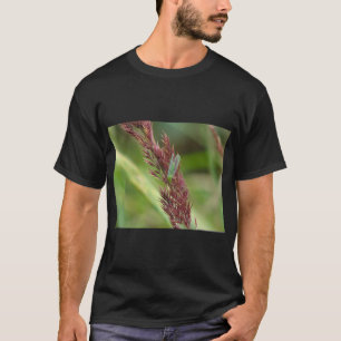 Lacewing Insect Nature T-Shirt Print