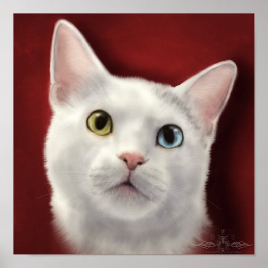 Lacey Poster (Vorne)