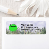 Lächelfrosch (Insitu)