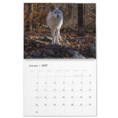 Lächeln Afoot Wolves 2025 Kalender (Jan 2027)