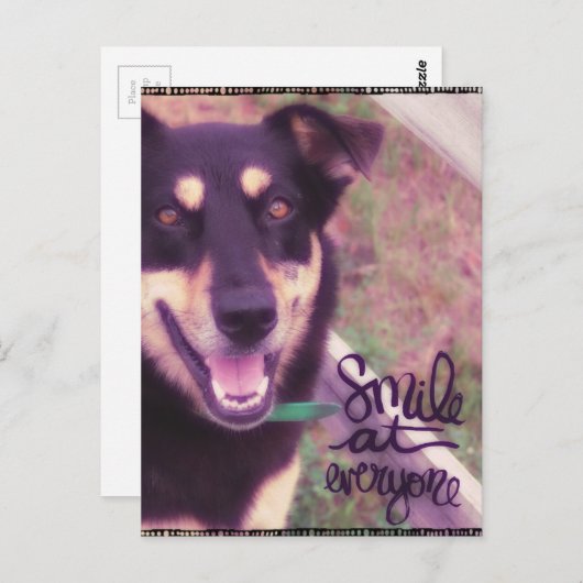 Lächeln bei jedem Hund Postkarte (Vorne/Hinten)