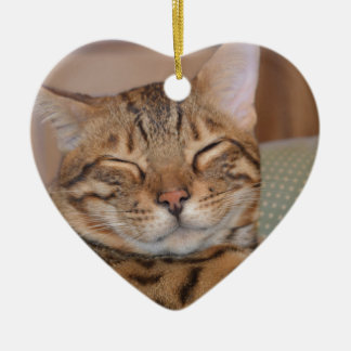 Lächeln bengalisch keramik ornament