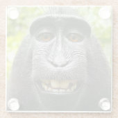 Lächeln Celebes-Makaken-Affe Glasuntersetzer (Rückseite)