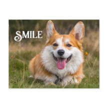 Lächeln Corgi Hund Funny Animal Smile