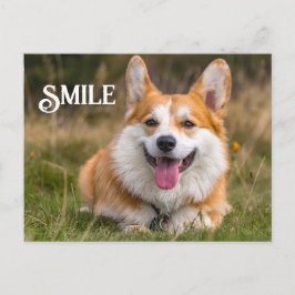 Lächeln Corgi Hund Funny Animal Smile Postkarte
