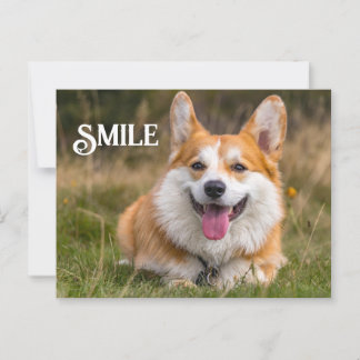 Lächeln Corgi Hund Funny Animal Smile Postkarte