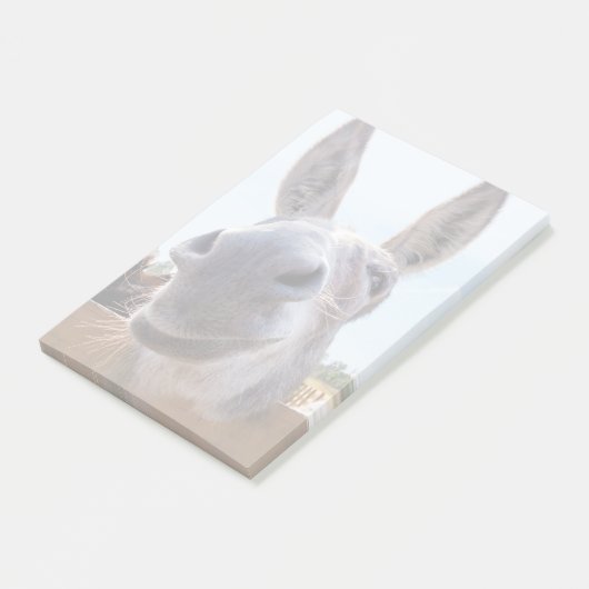 Lächeln der Donkey-Post-It-Notes Post-it Klebezettel (angewinkelt)