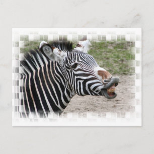 Lächeln der Zebra Postkarte