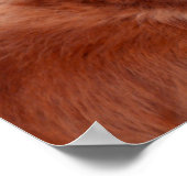 Lächeln des Golden Retriever in Hut Poster (Ecke)