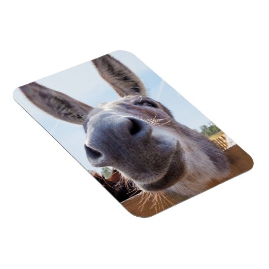 Lächeln Donkey Magnet (Rechte Seite)