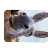 Lächeln Donkey Magnet (Horizontal)