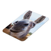 Lächeln Donkey Magnet (Linke Seite)