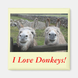 Lächeln Donkeys! Magnet