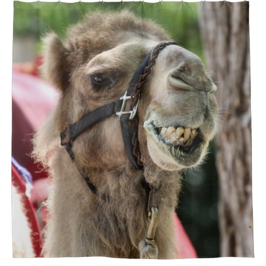 Lächeln Duschvorhang (Vorderseite)