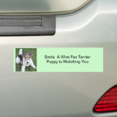 Lächeln ein Drahtfox-Welpe aufpasst Sie Autoaufkleber (Auf Auto)