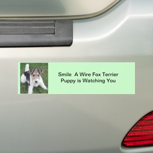Lächeln ein Drahtfox-Welpe aufpasst Sie Autoaufkleber (Auf Auto)