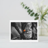 Lächeln für einen Ladybug Postkarte (Stehend Vorderseite)
