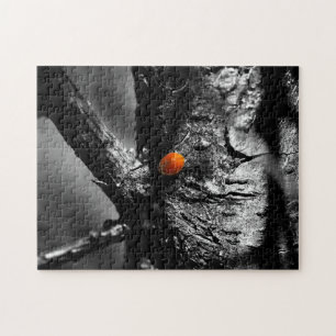 Lächeln für einen Marienkäfer Puzzle