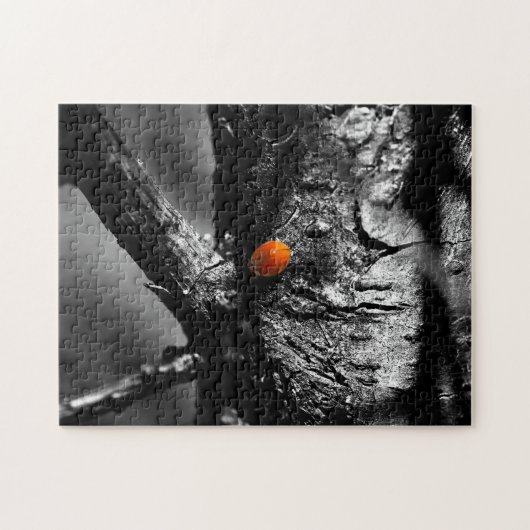 Lächeln für einen Marienkäfer Puzzle (Horizontal)