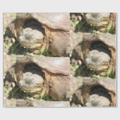 Lächeln Geschenkpapier (Flach)