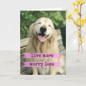 Lächeln Golden Retriever Hund leben mehr Sorgen we Karte (Gelbe Blume)