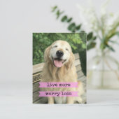 Lächeln Golden Retriever Hund leben mehr Sorgen we Postkarte (Stehend Vorderseite)