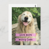 Lächeln Golden Retriever Hund leben mehr Sorgen we Postkarte (Vorne/Hinten)