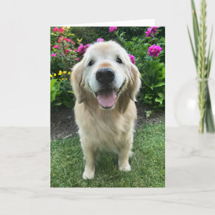 Lächeln Golden Retriever mit Blume Danke Karte
