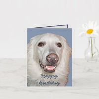 Lächeln große Pyrenäen Hund Geburtstag