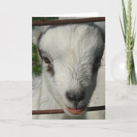 Lächeln Karte (Vorderseite)