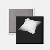 Lächeln Magnet (Vorderseite/Rückseite)