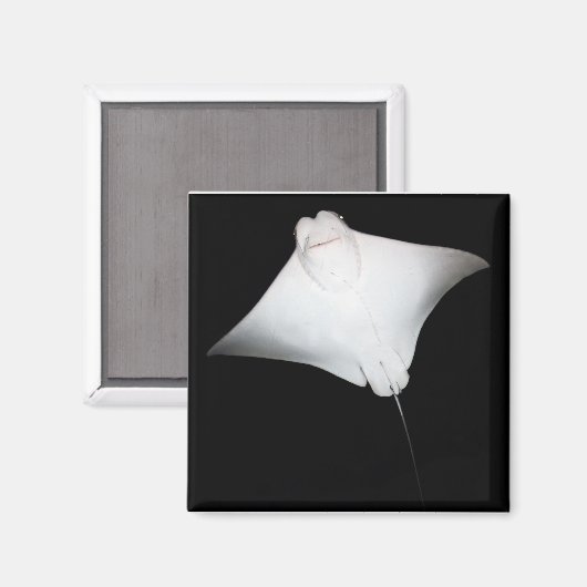 Lächeln Magnet (Vorderseite/Rückseite)