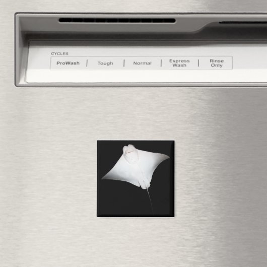 Lächeln Magnet (In Situ (Geschirrspüler))