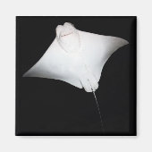 Lächeln Magnet (Vorne)