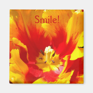 Lächeln! Magnete Tulpe Magnet Rot Gelb Floral